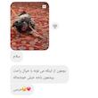 پوشک، کراوات و پاپیون تزیینی برای مرغ و خروس