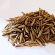 لارو مگس سرباز خشک درجه یک