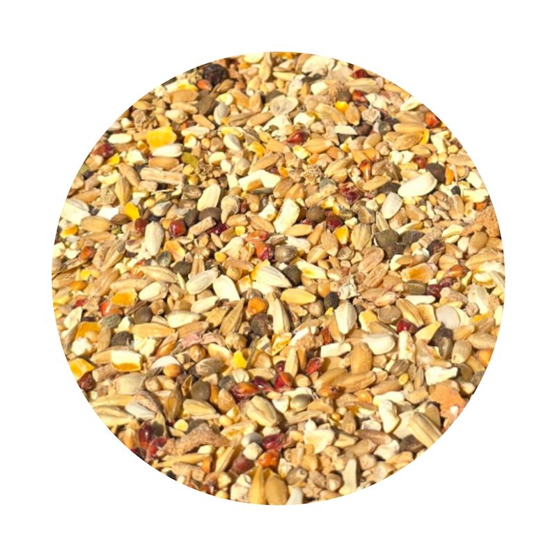 دان هفت تخم تقویتی و میانوعده مرغ و خروس و کبوتر