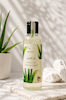 ژل آلوئه‌ورا (Aloe Vera Gel)