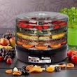میوه و سبزی خشک کن رانکو مدل RK-660
