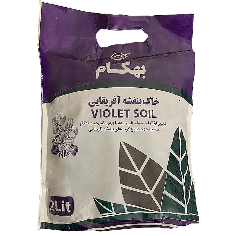 خاک بنفشه آفریقایی بهکام کد BN02 حجم 2 لیتر