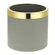 گلدان پلیمری پاچیرا اقتصادی مدل استوانه ای قطر 25 با حلقه طلائی