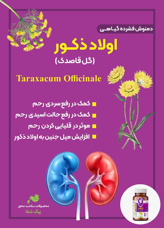 دمنوش اولاد ذکور گل قاصدک
