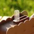 قمقمه فانتزی طرح بیسکوییت