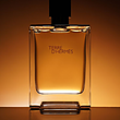 تق هرمس TERRE D'HERMES