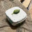 ست صبحانه خوری و پذیرایی هاوایی