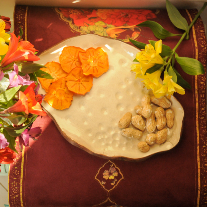 دیس پذیرایی دفرمه