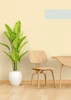 کاغذ دیواری ساده طیف نارنجی کد 23