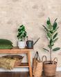 کاغذ دیواری نیچر (NATURE) 203049