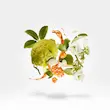 عطر ادکلن زرجف-زرجوف ناکسوس | Xerjoff Naxos