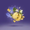 عطر ادکلن زرجف اکسنتو-اچنتو-زرجوف اکنتو | Xerjoff Accento