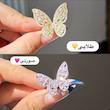 دشت پروانه ها🥹✨💜