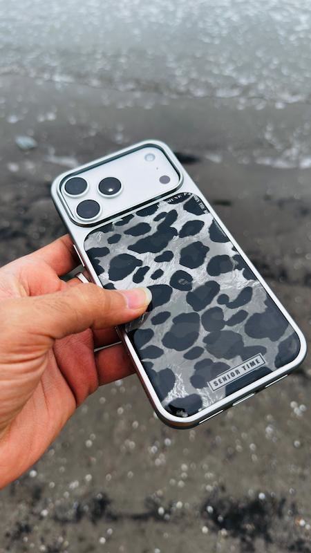 Silver panther