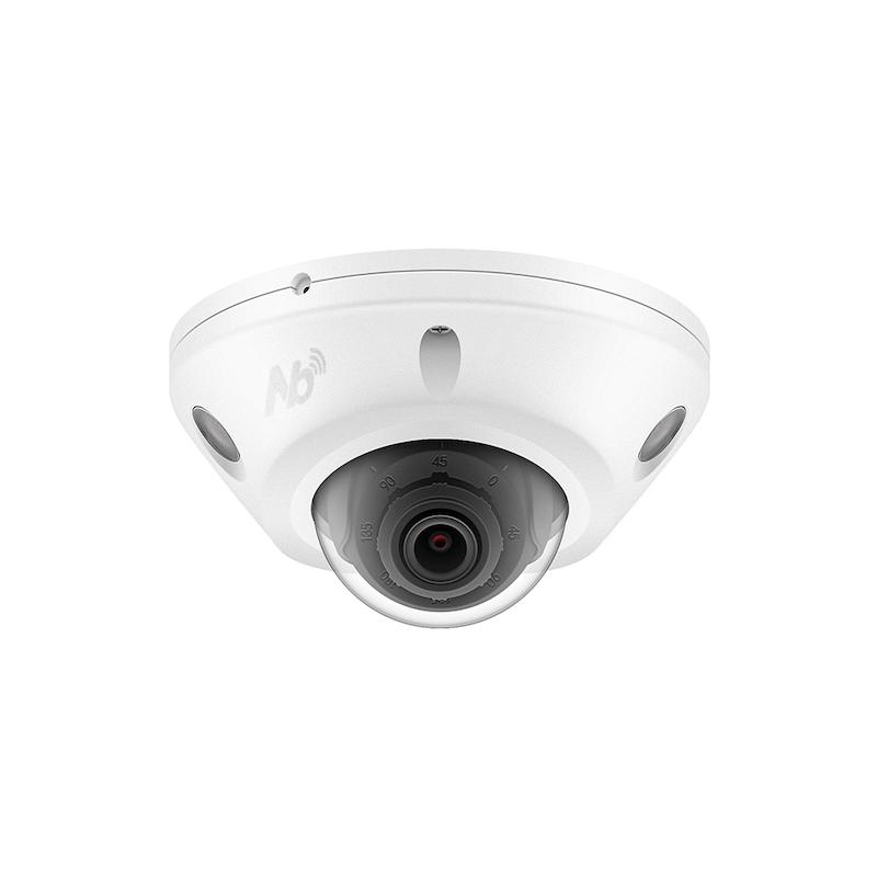 Outdoor Dome Camera 4MP AI NB