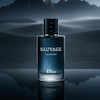 عطر دیور ساواج | Dior Sauvage