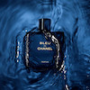 بلو شنل | Chanel Bleu de Chanel | قیمت و خرید، مشخصات | عطر نیاتوس