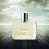 عطر لاگوست اسنشیال (لاگوست سبز) | Lacoste Essential|قیمت و خرید، مشخصات|عطر نیاتوس