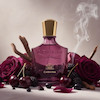 کرید کارمینا | Creed Carmina | قیمت و خرید،نت بو، مشخصات | عطر نیاتوس