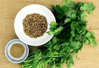 تخم گشنیز معجزه ای در عطرسازی