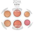 رژ گونه تک رنگ تراکوتا زویا _ Zoya ایتالیا در 6 رنگ