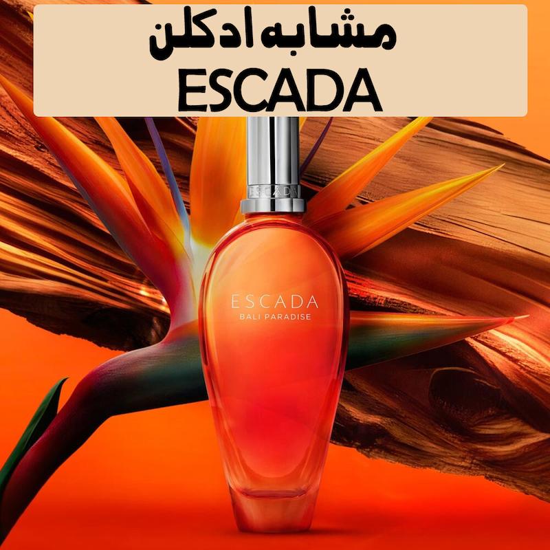لوسیون بدن ادکلنی کارینو _ Carino مدل Excodai امارارتی حجم 250 میل