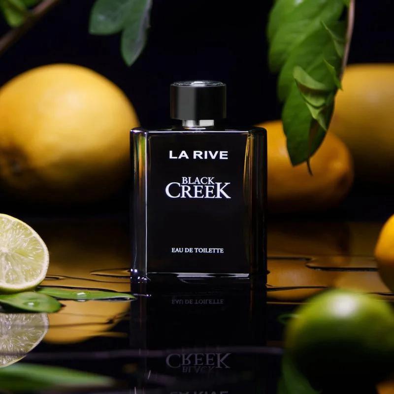 ادکلن 100 میل لاریو _ Larive مردانه لهستانی مدل Black creek