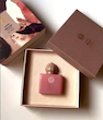 عطر آمواج گایدنس مینی