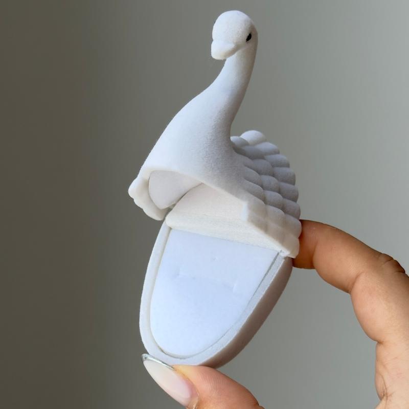 باکس قو 🪞🦢