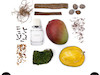 عطر fugazzi«مینی سایز»