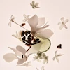 عطر phlur«مینی سایز»