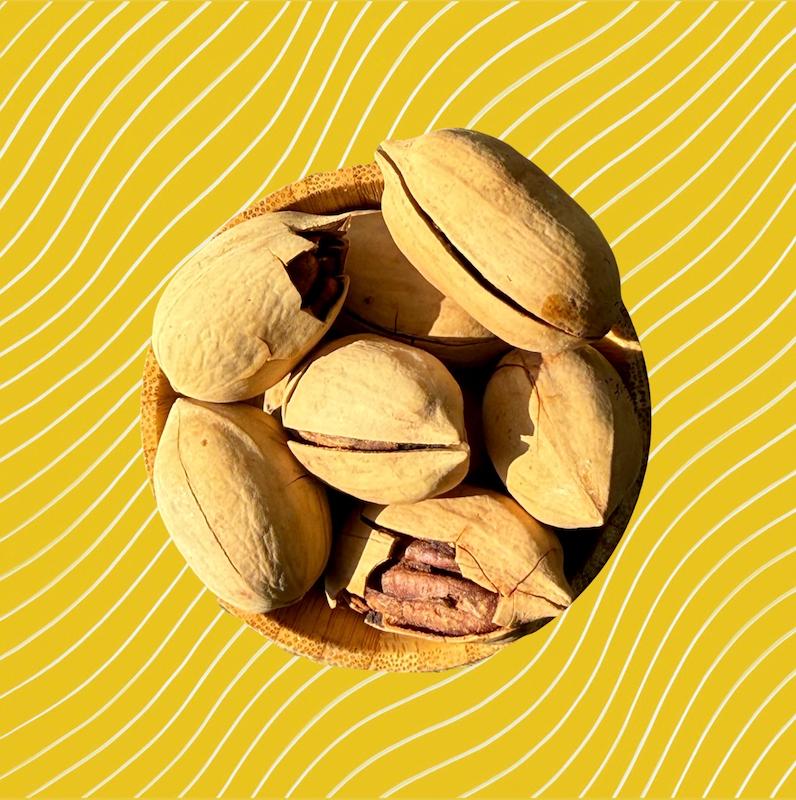 گردو پکان آمریکایی