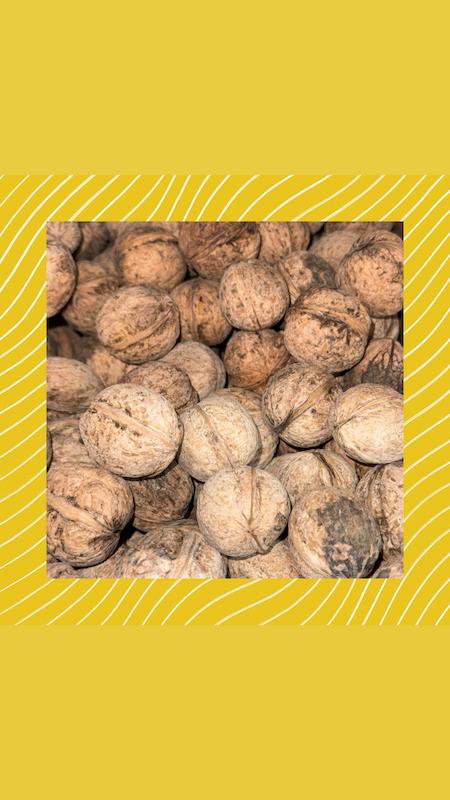 گردو ایرانی 