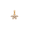 d344b4797ff90fdf4927bf825fbb0bf1.png