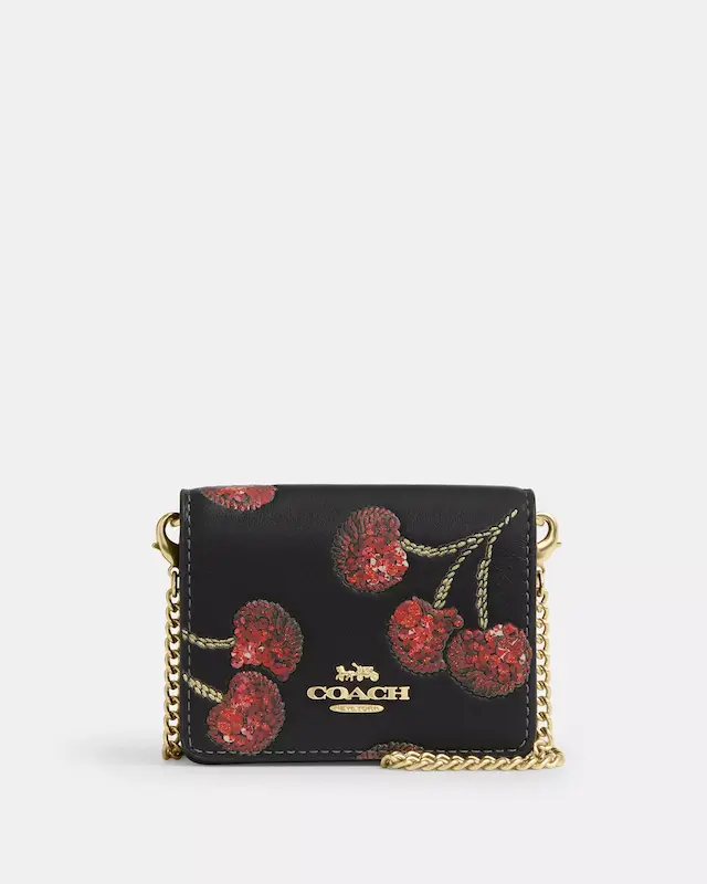 مینی بگ زنانه coach