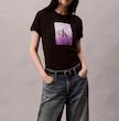 تیشرت زنانه Calvin Klein 