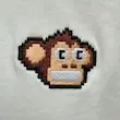 تیشرت میمون Monkey کد 282