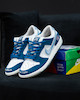 کفش Nike sb dunk born raised کد M037