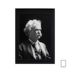 تابلو عکس مارک تواین Mark Twain‎ مدل N-25390