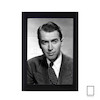 تابلو عکس جیمز استورات James Stewart مدل N-25473
