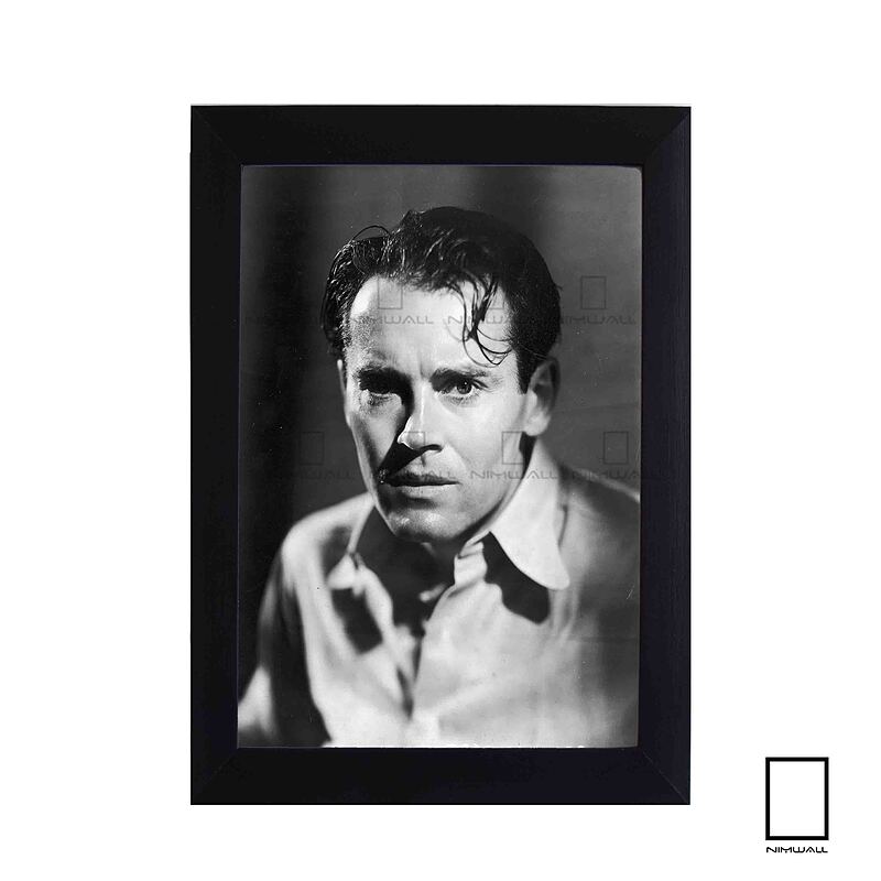 تابلو عکس هنری فوندا Henry Fonda مدل N-25511