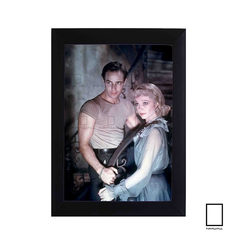 تابلو عکس مارلون براندو Marlon Brando برای فیلم اتوبوسی به نام هوس مدل N-221520