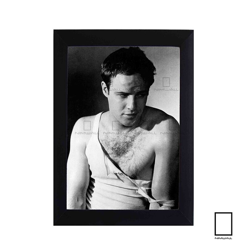 تابلو عکس مارلون براندو Marlon Brando برای فیلم اتوبوسی به نام هوس مدل N-221526