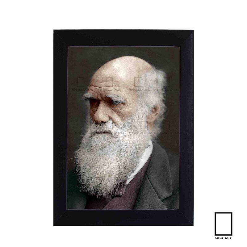 تابلو عکس چارلز داروین  Charles Darwin مدل N-25621