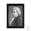 تابلو آمادئوس موتزارت Wolfgang Amadeus Mozart مدل N-25697
