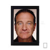تابلو عکس پرتره رابین ویلیامز Robin Williams مدل N-25750