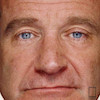 تابلو عکس پرتره رابین ویلیامز Robin Williams مدل N-25750