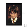 تابلو فیلم هری پاتر harry poter مدل N-221898