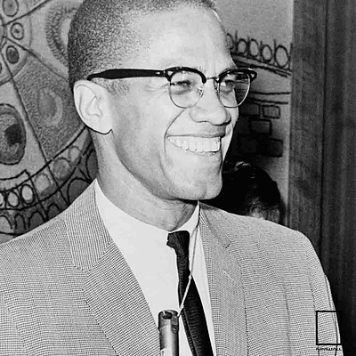 تابلو مالکوم ایکس Malcolm X مدل N-25874