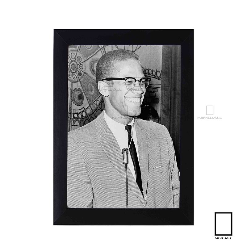 تابلو مالکوم ایکس Malcolm X مدل N-25874